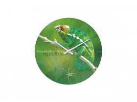 Часы настенные Nicole Time NT503 в Чернаково - chernakovo.mebel-nsk.ru | фото