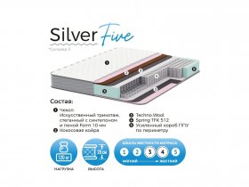 Матрас Silver Five в Чернаково - chernakovo.mebel-nsk.ru | фото
