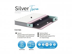 Матрас Silver Two в Чернаково - chernakovo.mebel-nsk.ru | фото